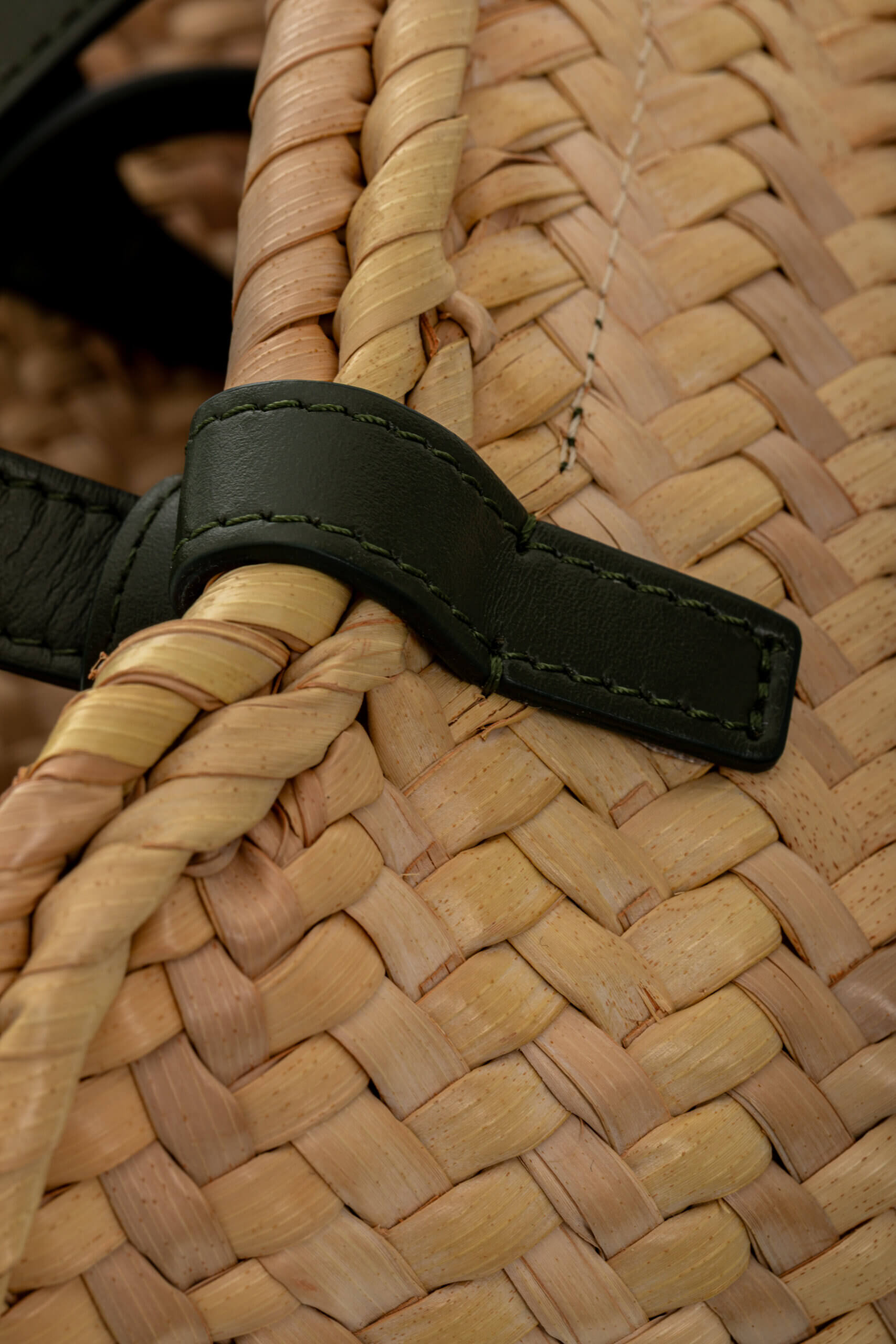 <span style="font-size: 10px;letter-spacing: .15em">HARD TO FIND</span><br>            <strong>CELINE</strong><br>            <div style="margin-top:10px;font-size:16px">Palm Leaves Calfskin Classic Triomphe Nano Panier Khaki</div><br> - Image 14