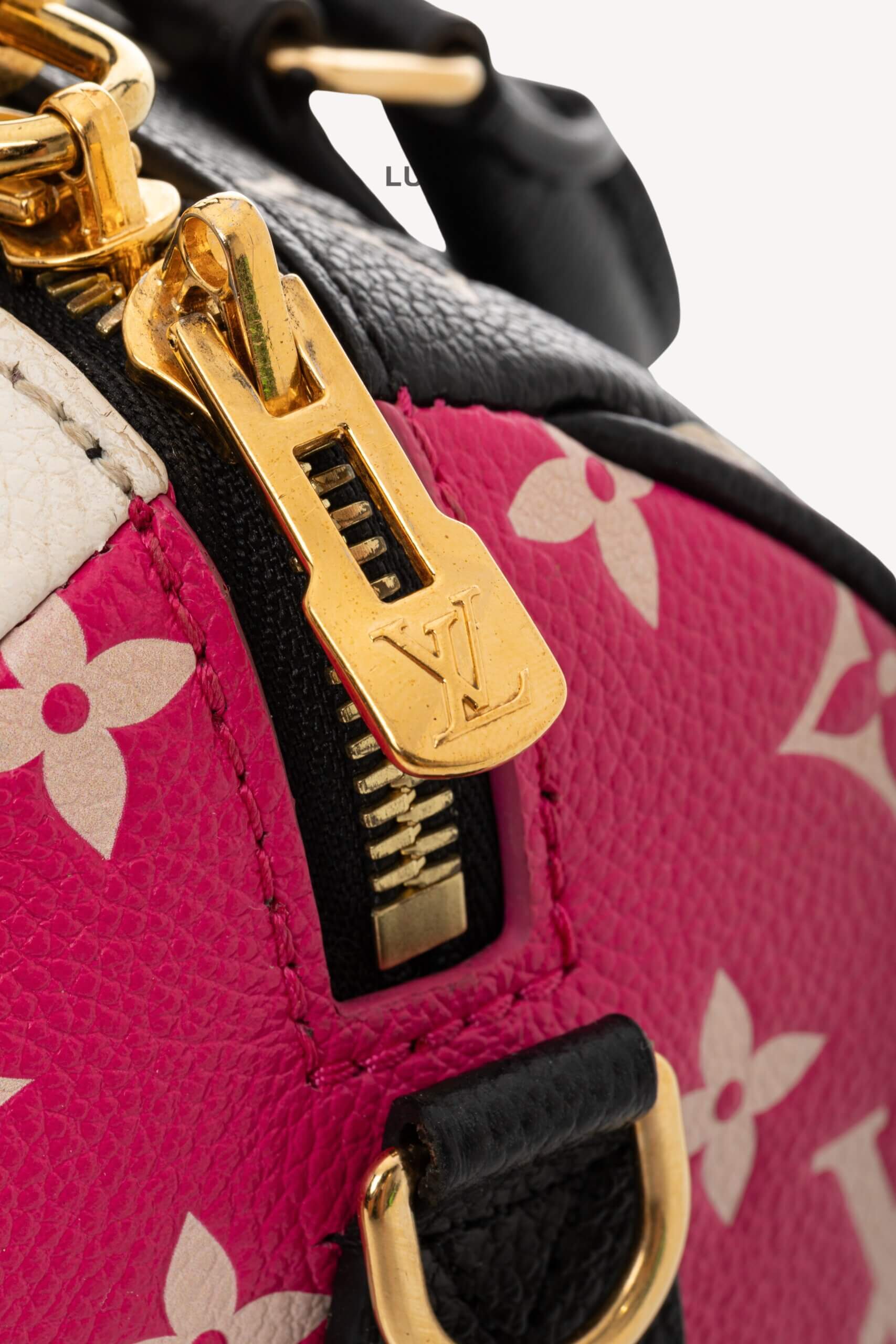 <span style="font-size: 10px;letter-spacing: .15em">HARD TO FIND</span><br>            <strong>LOUIS VUITTON</strong><br>            <div style="margin-top:10px;font-size:16px">Empreinte Monogram Spring in the City Speedy Bandouliere 20 Black White Pink M46088</div><br> - Image 15