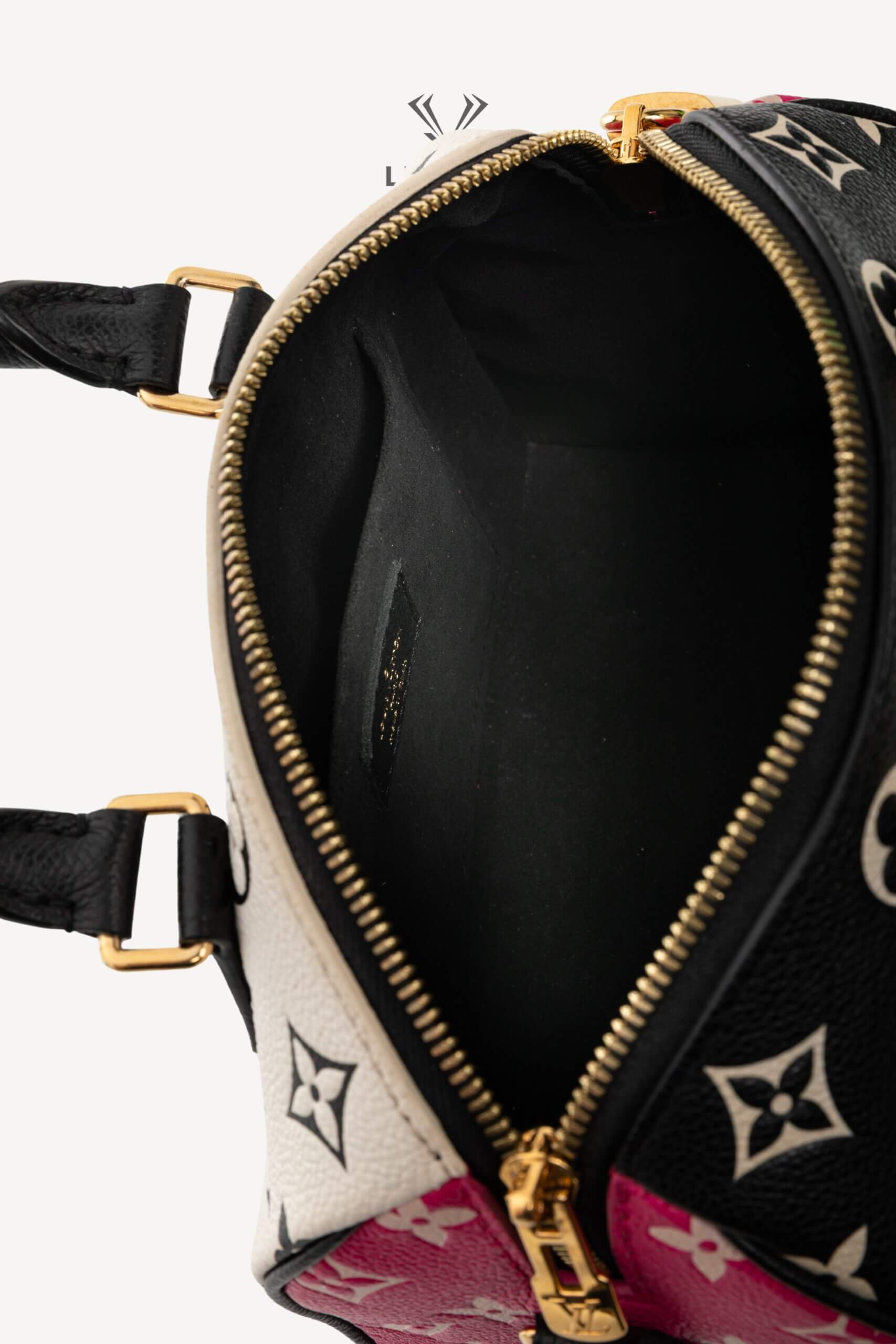 <span style="font-size: 10px;letter-spacing: .15em">HARD TO FIND</span><br>            <strong>LOUIS VUITTON</strong><br>            <div style="margin-top:10px;font-size:16px">Empreinte Monogram Spring in the City Speedy Bandouliere 20 Black White Pink M46088</div><br> - Image 16