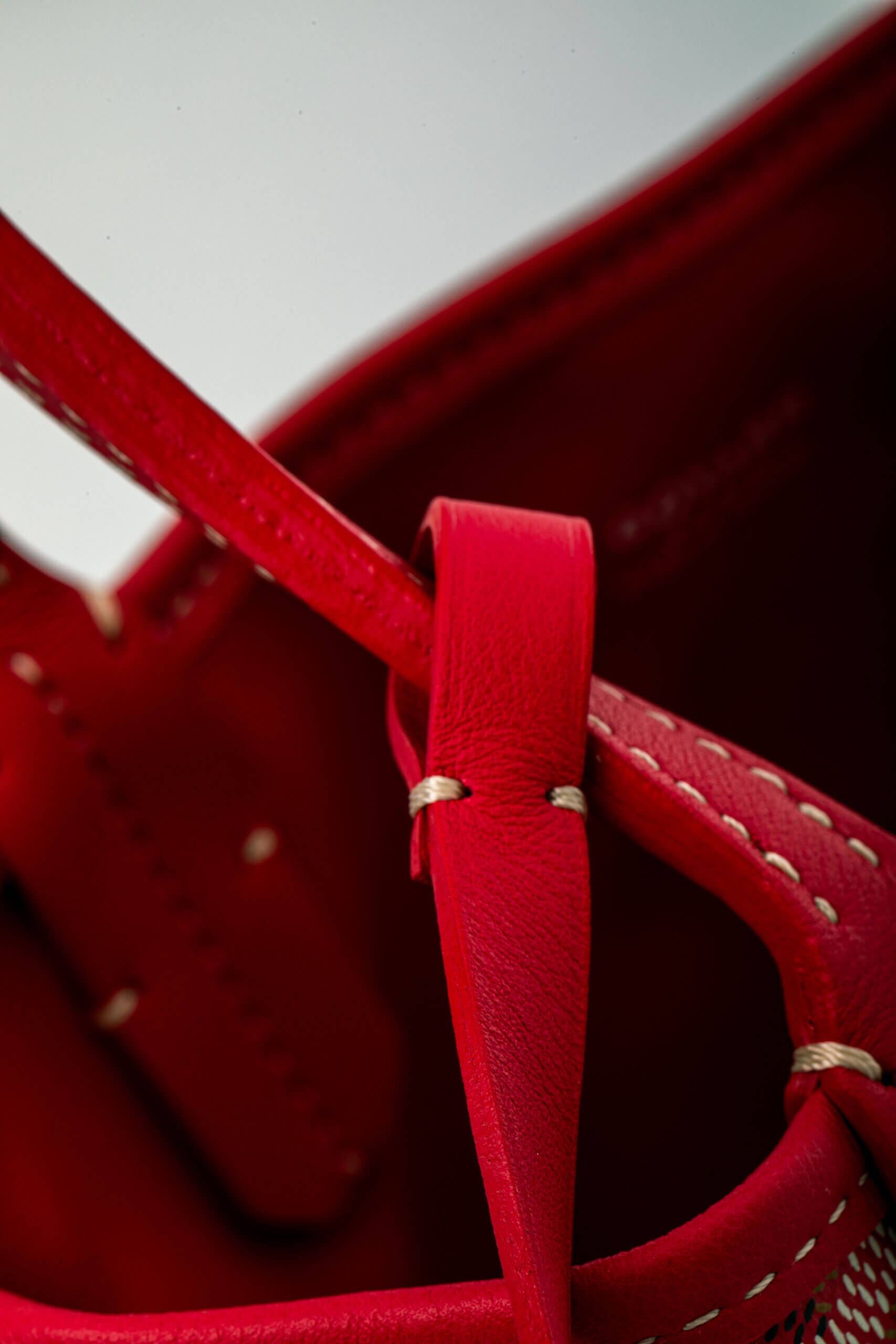 <span style="font-size: 10px;letter-spacing: .15em"></span><br> <strong>GOYARD</strong><br> <div style="margin-top:10px;font-size:16px">Goyardine Reversible Mini Anjou Red</div><br> - Image 16